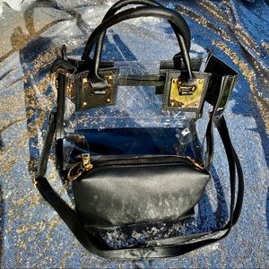 Transparent Jelly Purse with black detachable